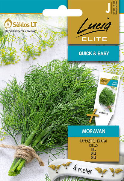 Tilli "Moravan" (siemennauha)